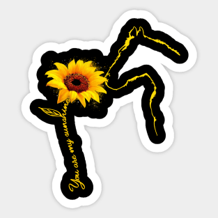 Horse You Are My Sunshine Sticker